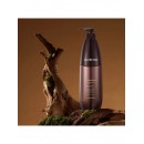 Шампунь для питания и увлажнения волос - Olorchee Nourishing Moisture Extra Moist Shampoo, 300 мл Шампунь для питания и увлажнения волос - Olorchee Nourishing Moisture Extra Moist Shampoo, 300 мл