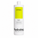 Набор VITAEL Dry Hair DUO шампунь, маска для увлажнения сухих волос, 2х1000 мл Набор VITAEL Dry Hair DUO шампунь, маска для увлажнения сухих волос, 2х1000 мл