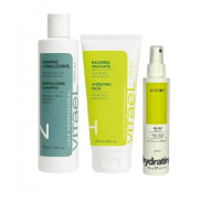 Набор для жирной кожи головы, увлажнение сухих волос VITAEL Dry Hair шампунь NORMALIZING, маска Hydrating, термозащита Ten In One 300/250/150 мл