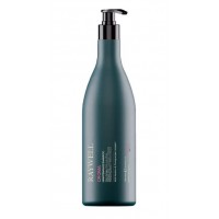 Шампунь Raywell BIO CROMA Shampoo для захисту кольору фарбованого волосся (RR605), 1000 мл