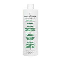 Нормалізуючий шампунь Envie Normalizing Shampoo (EN294) 500 г (розлив)