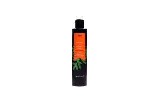 Шампунь Invidia Botoplus Argan Shampoo шампунь для окрашенных волос с аргановым маслом (EIN2050) 200 мл