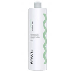 Амінокислотний шампунь FAV.1 112 RESTORE Shampoo для миттєвого відновлення волосся, 1000 мл