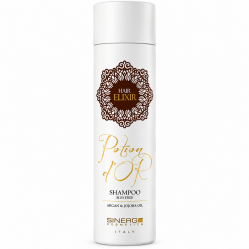 Безсульфатний шампунь Sinergy Potion D'or Shampoo з олією аргани і жожоба для сухого і тм'яного волосся, 250 мл