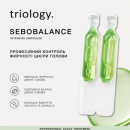 Набор для жирной кожи головы, увлажнение сухих волос Sebobalance Trilogy, шампунь, бальзам, маска, сыворотка Набор для жирной кожи головы, увлажнение сухих волос Sebobalance Trilogy, шампунь, бальзам, маска, сыворотка