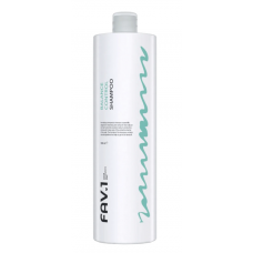 Нормализующий шампунь FAV.1 BALANCE CONTROL SHAMPOO, 1000 мл
