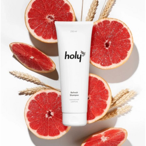 Освежающий шампунь holy refresh shampoo для сухих волос, 250 мл